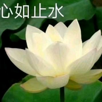 心如止水