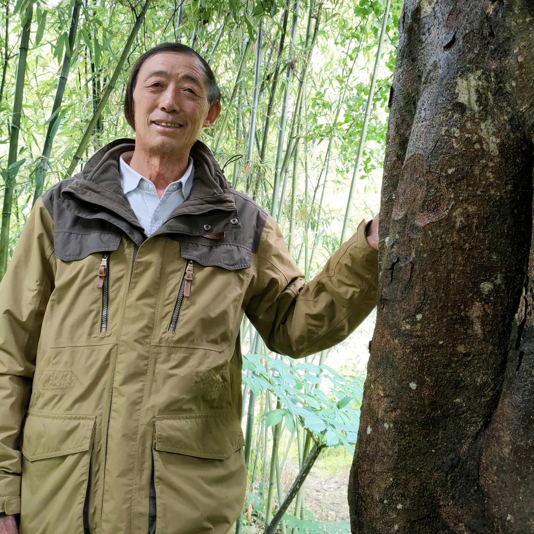 家顺哥