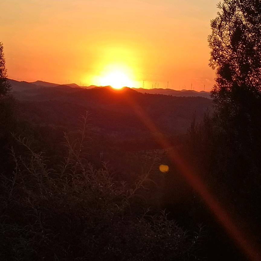 我的未来不是梦