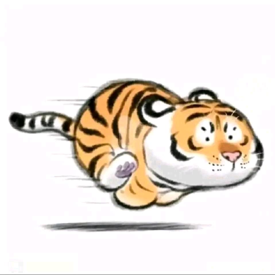 快乐的小海盗🐼