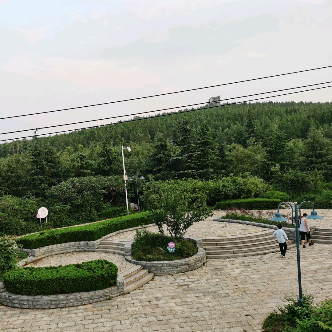 岱峰松韵