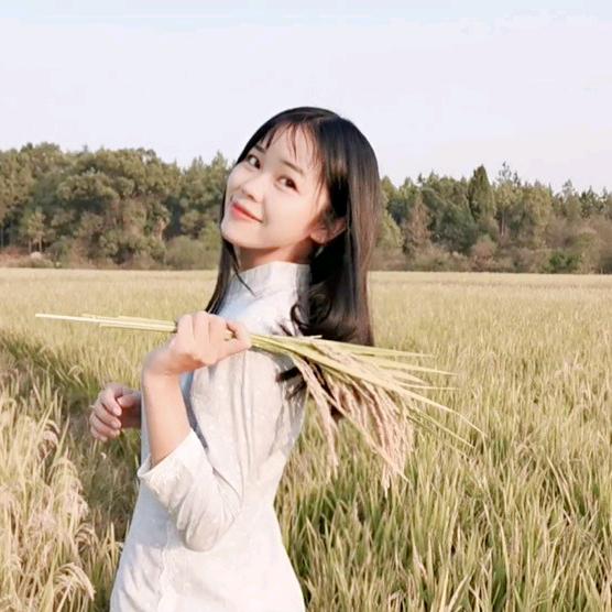 香香的日记
