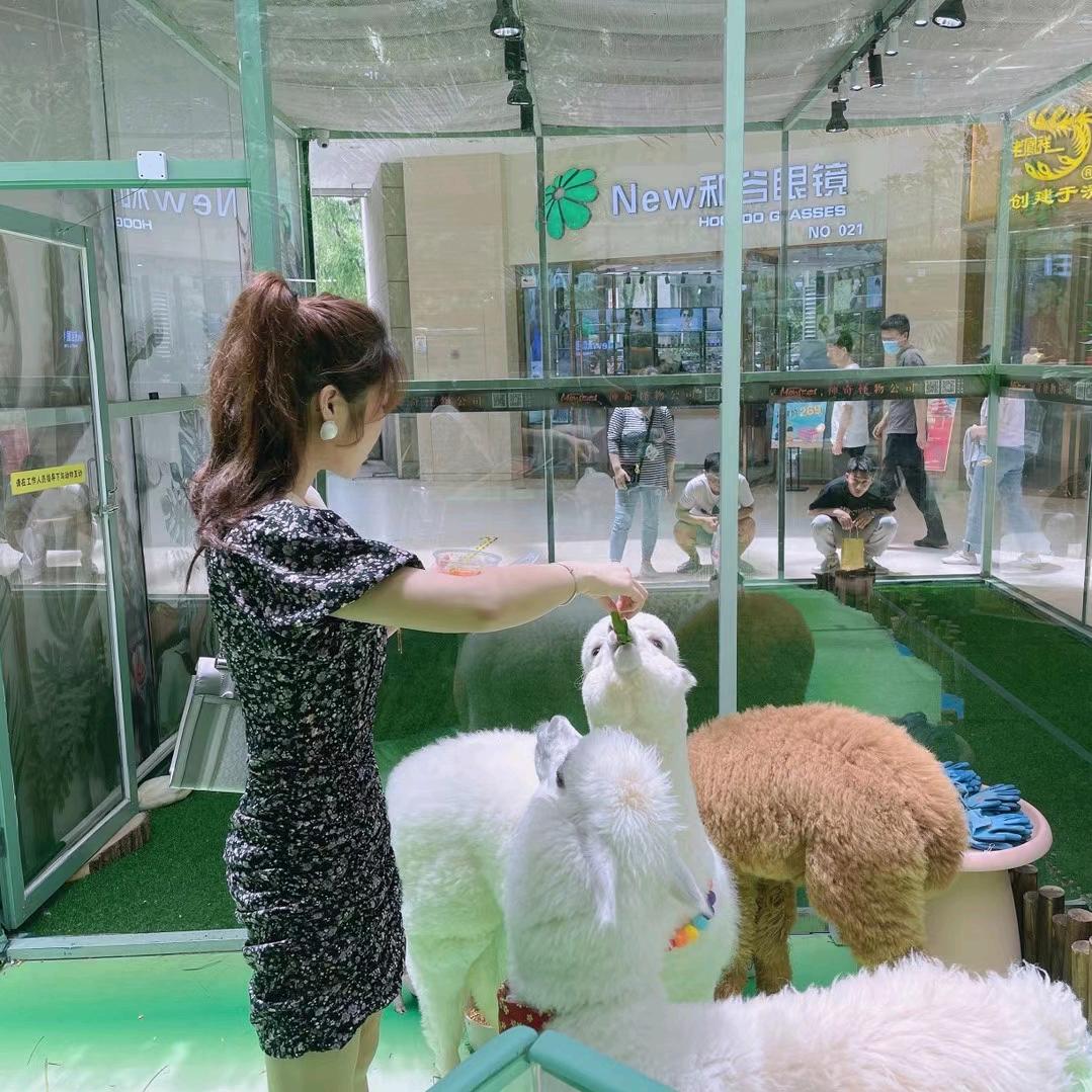 玄婴