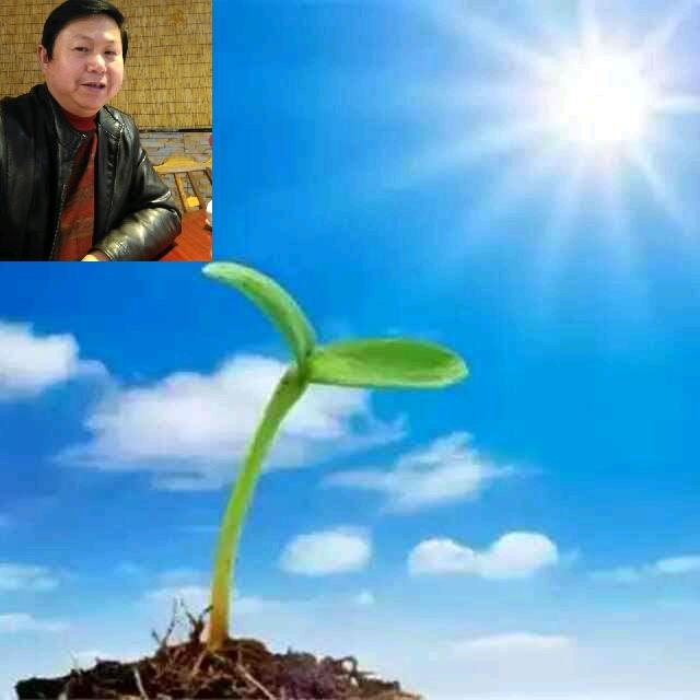 阳光