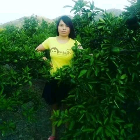 虚伪的谎言