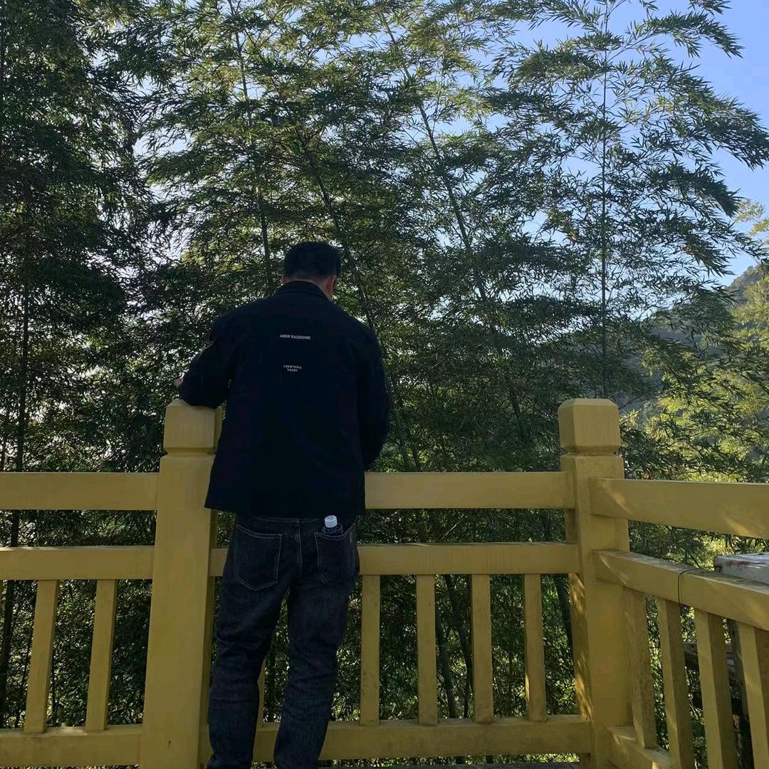 蜜蜂得好朋友