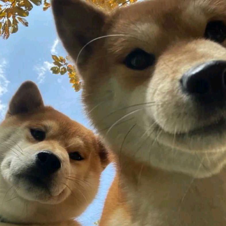 独一无二