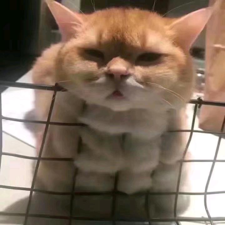 李李李