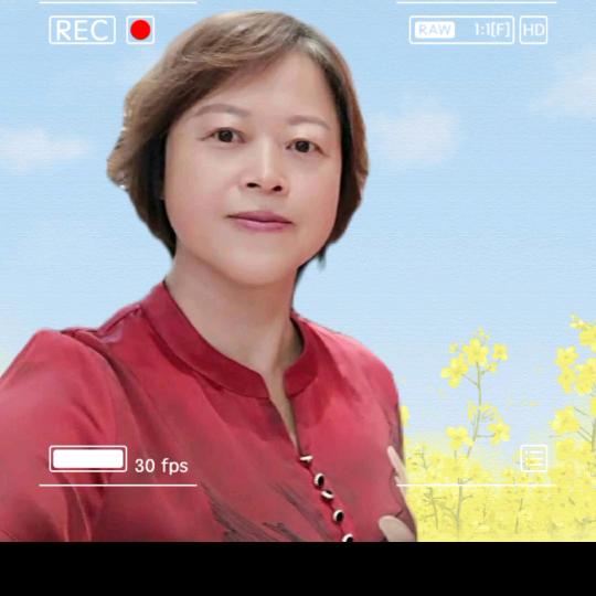 白狐姐书单