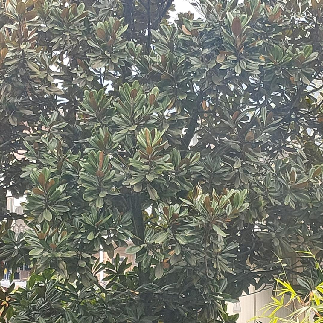 一幅