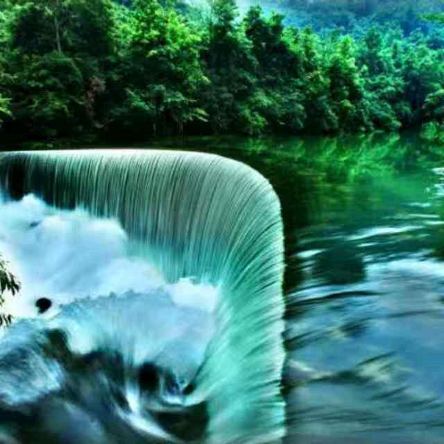 萍踪侠影