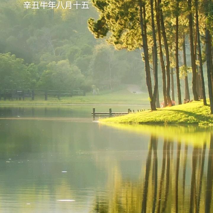 小安小文