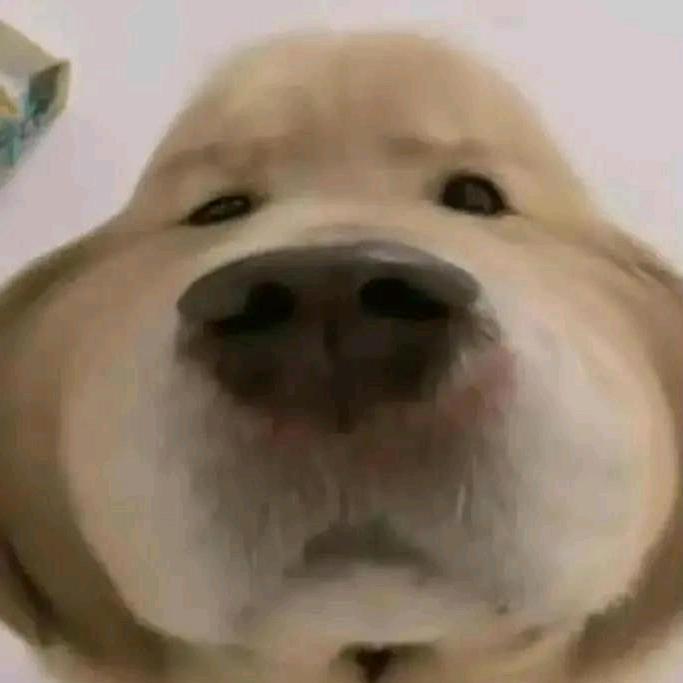 看到了不点赞