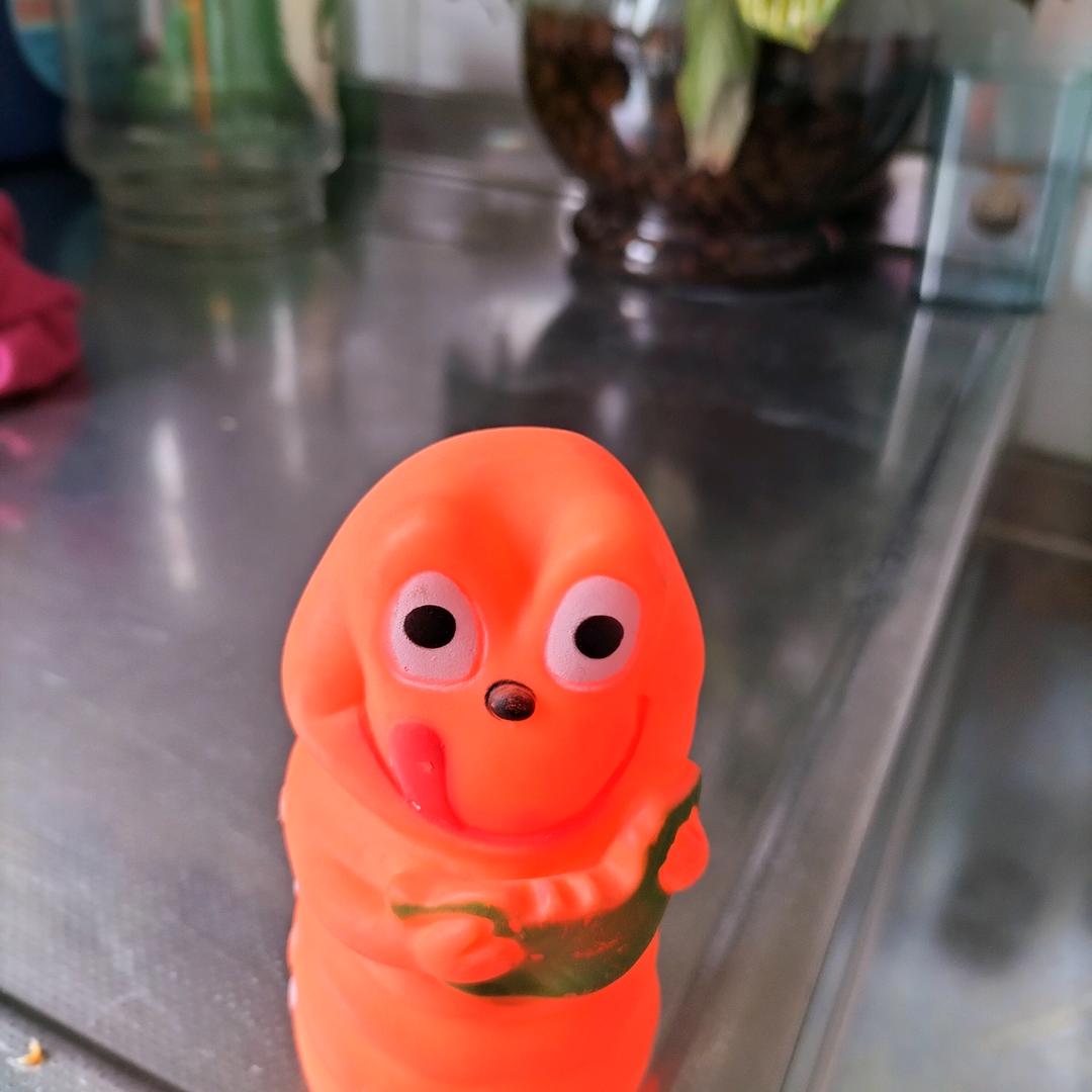 老辣椒