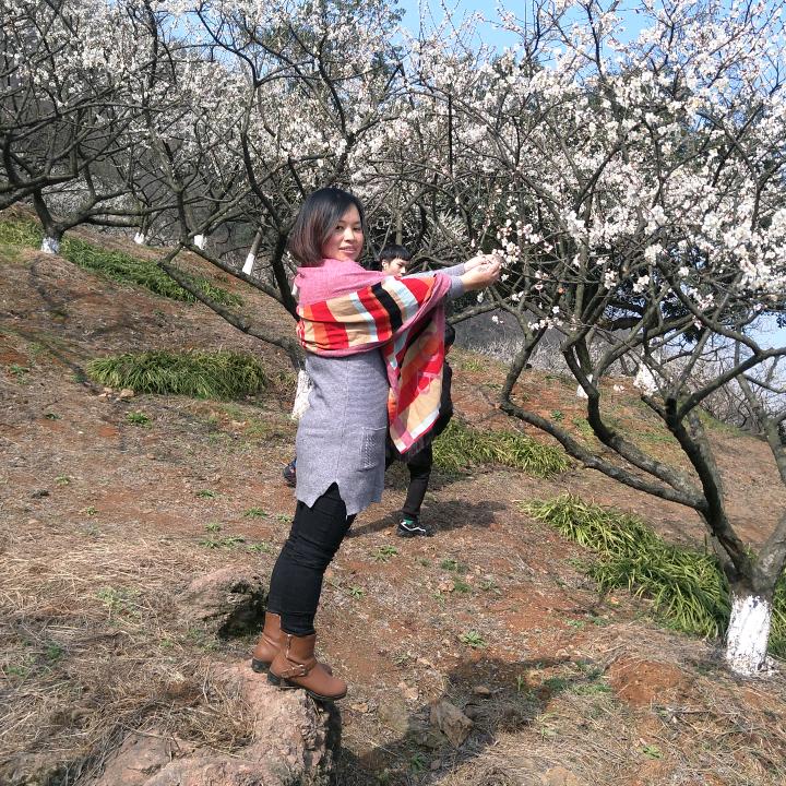 奈何桥等梦婆汤
