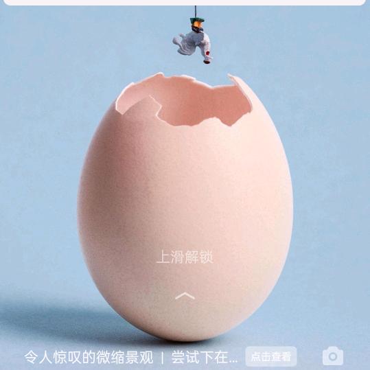 &♡五皇万岁♡¥