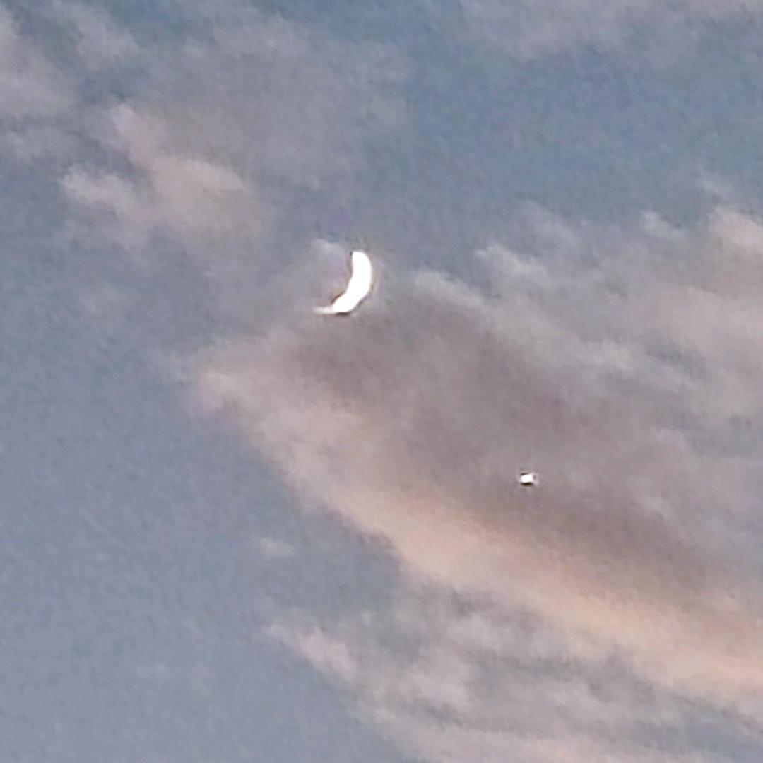 🌈柳柳嗯哪呗🌈