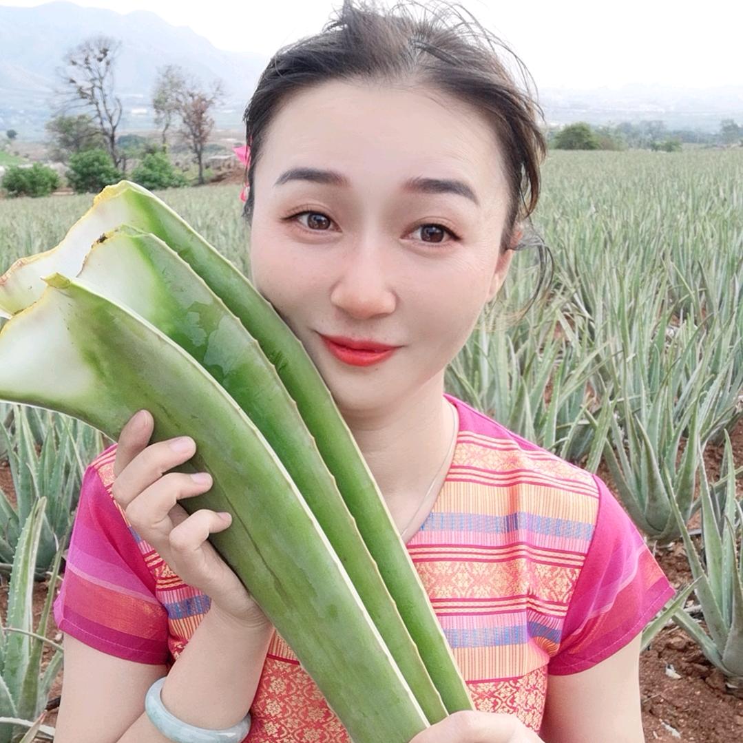 云南芦荟姐