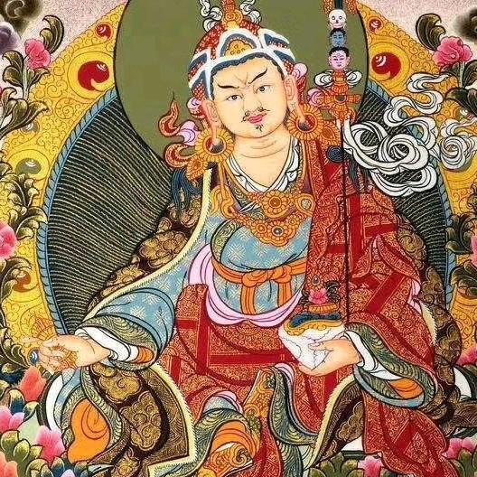 ⭐格桑花💐