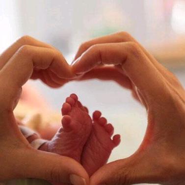 高新企业指导员