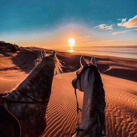 A小米ˇˇ迗马の速者