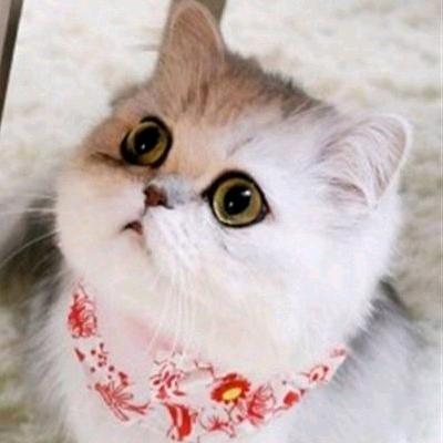 等等等