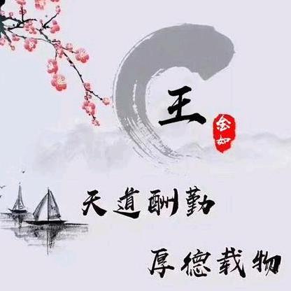 奋斗的大叔