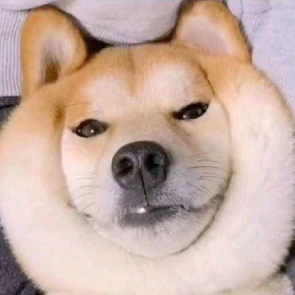 。。。