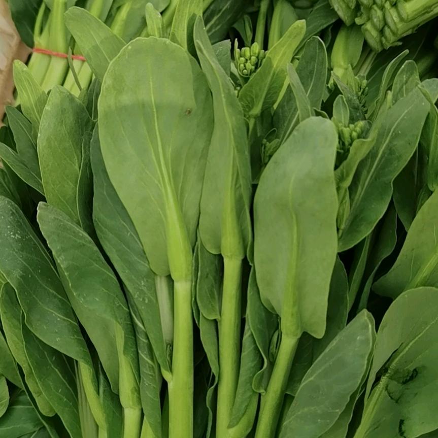 香菜辉哥