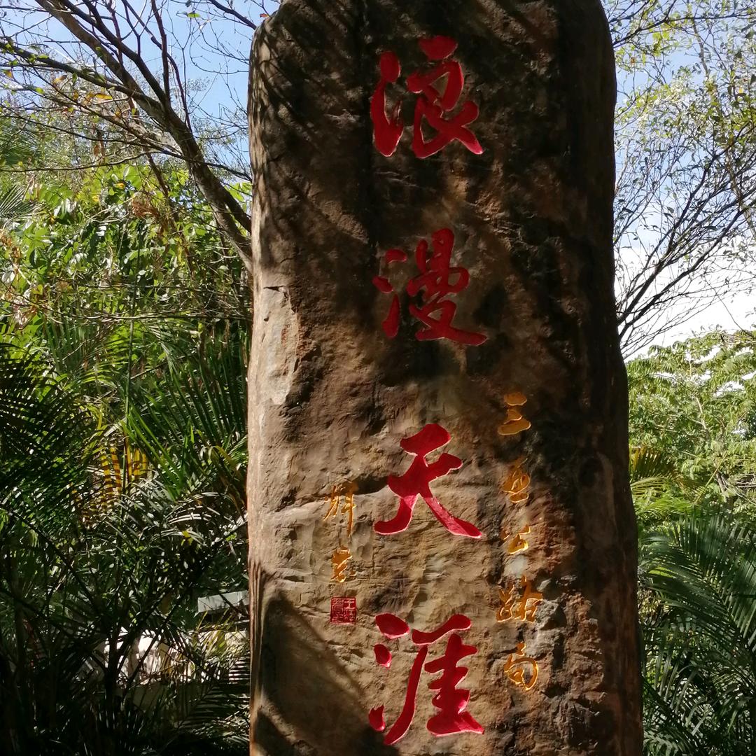 浪迹天涯