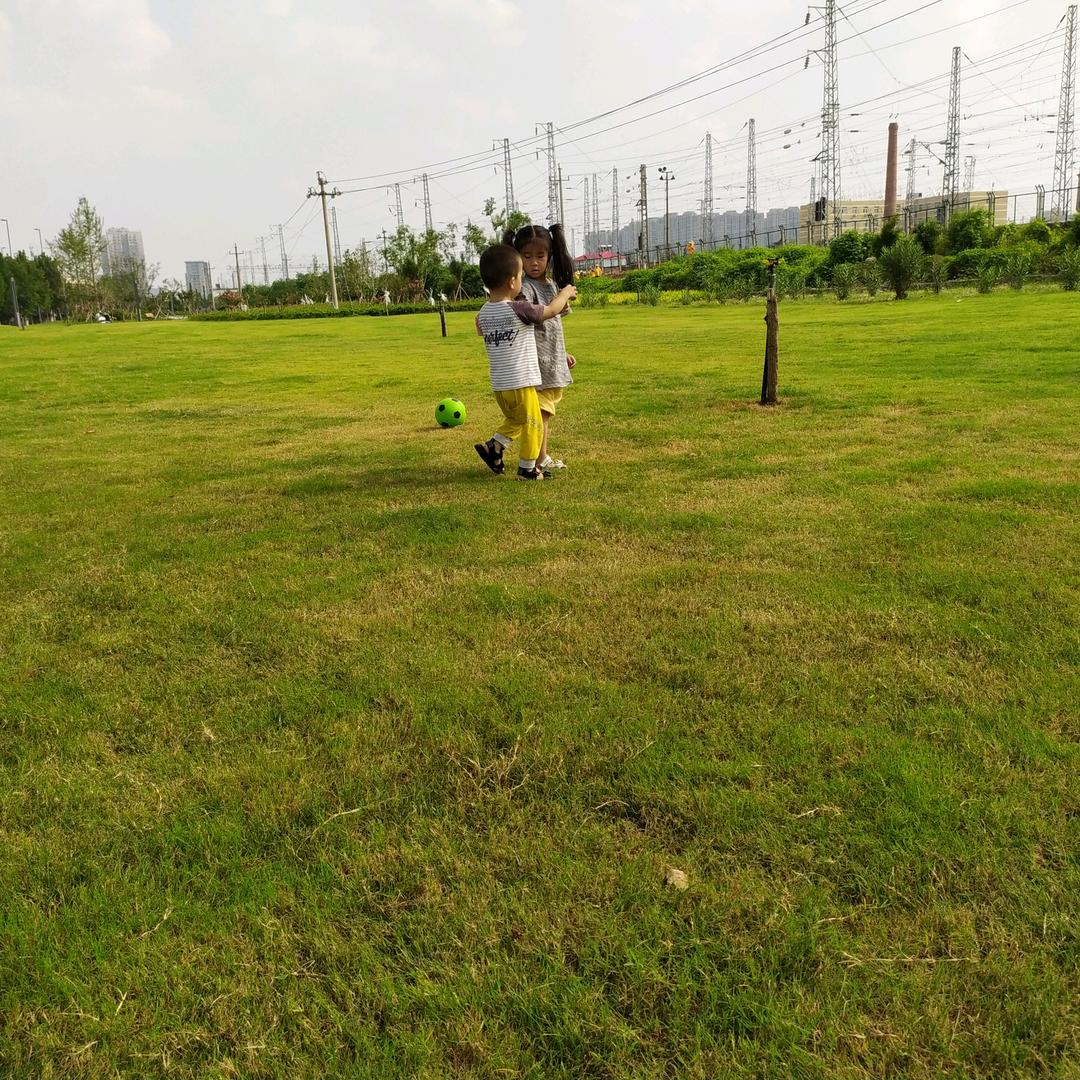 地瓜干