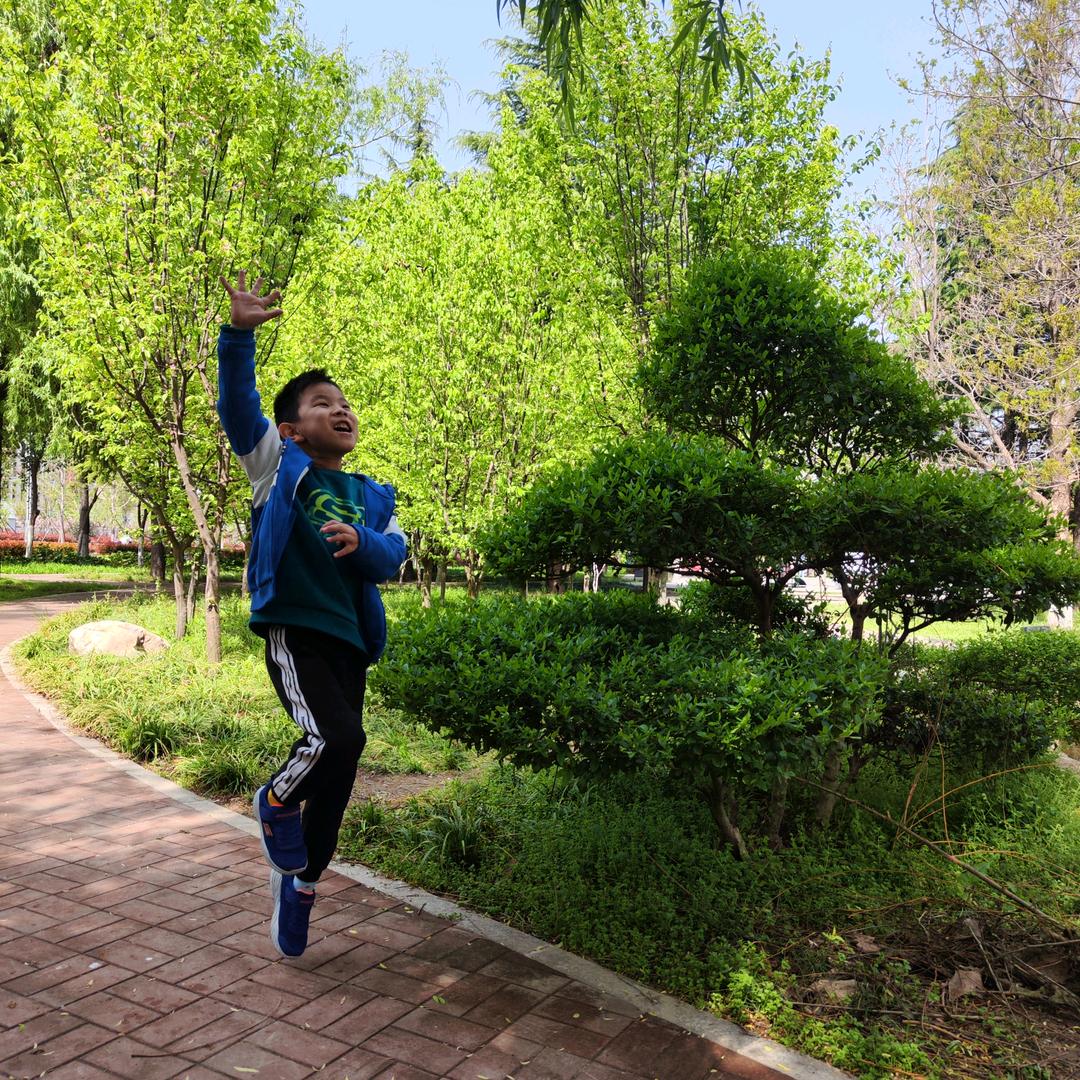 🌈东子李