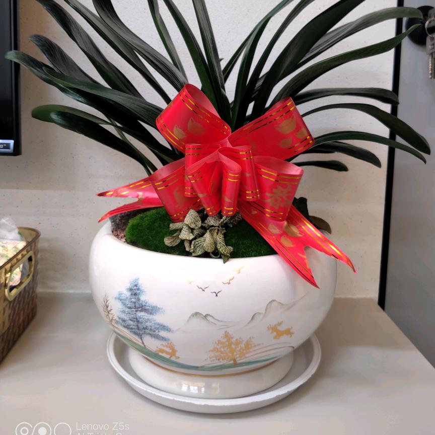 马奶奶