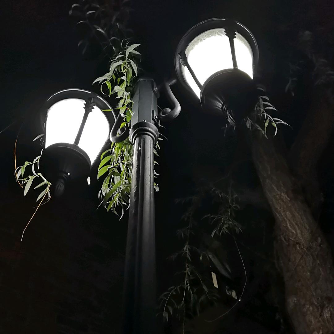 春风笑我痴