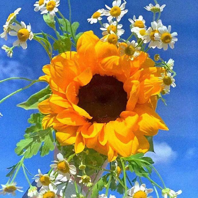 繁忙🌹中🌹徘徊