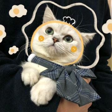 翠平