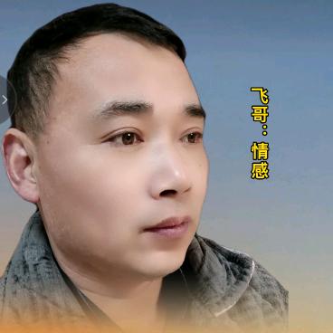 飞哥：情感