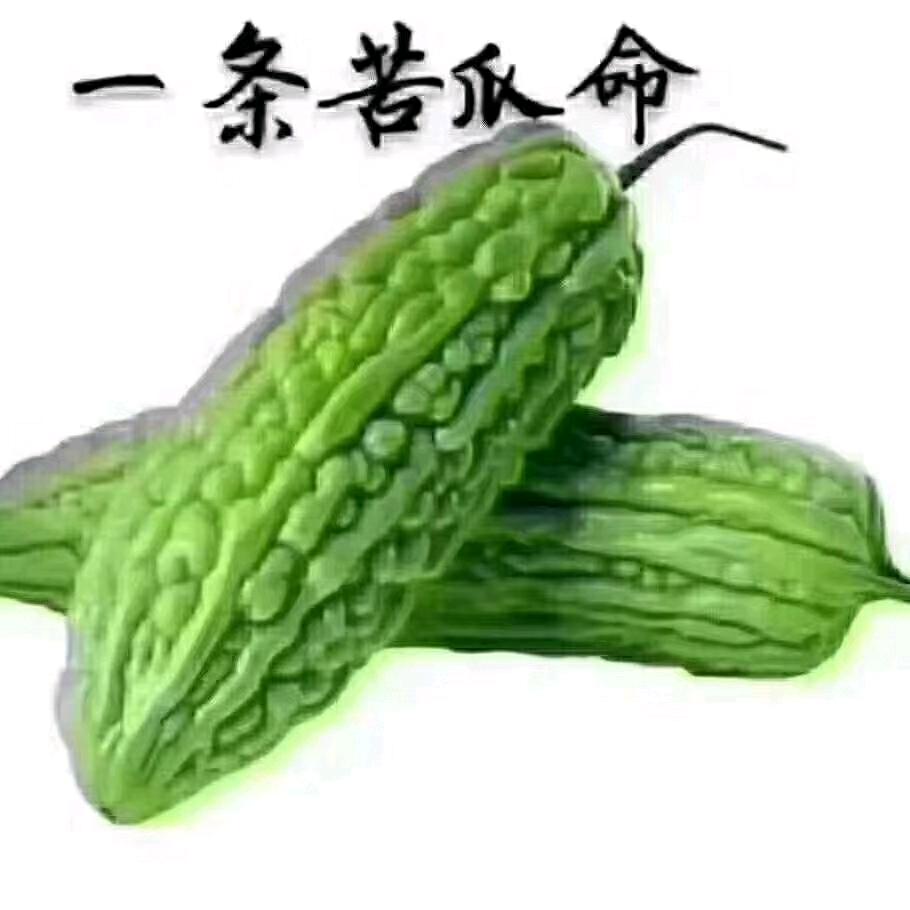 单锅盖