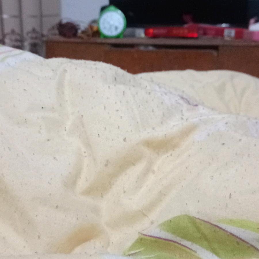 天天平安