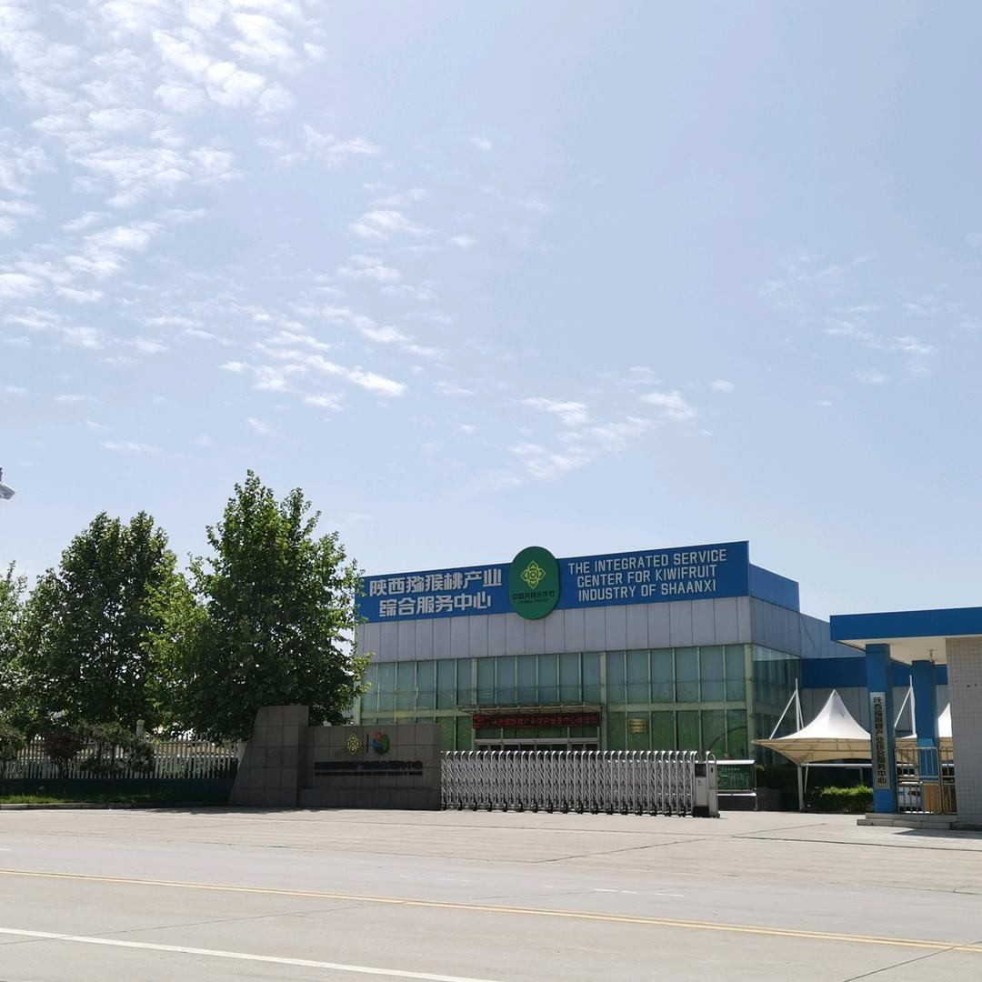 陕西猕猴桃产业综合服务中心