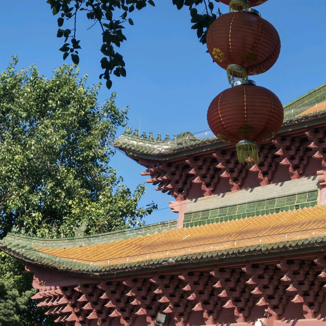 ☀花木向阳