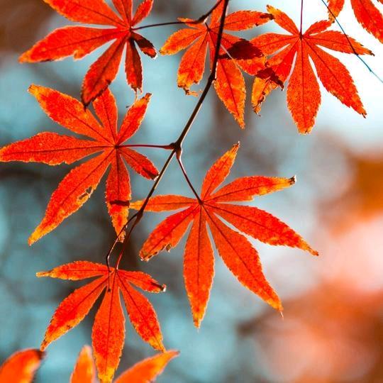 君子慎独