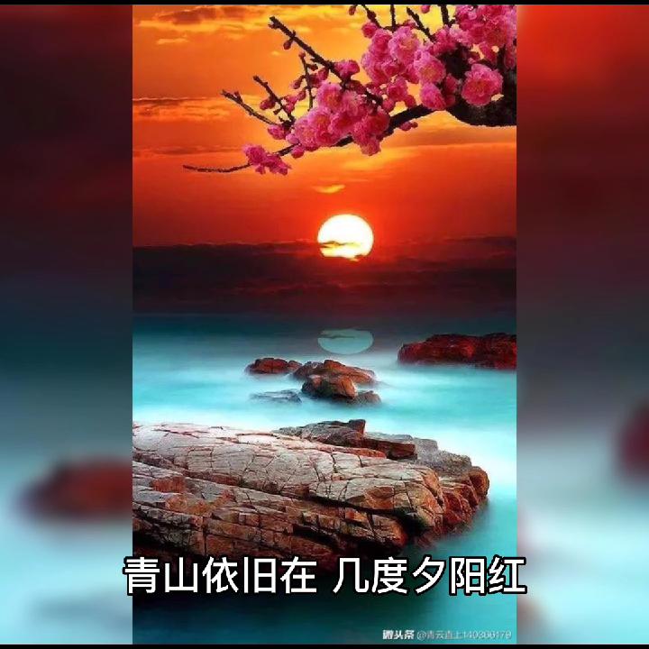 小货车专业拉货