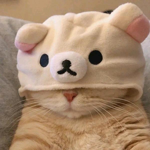 迷糊萝卜