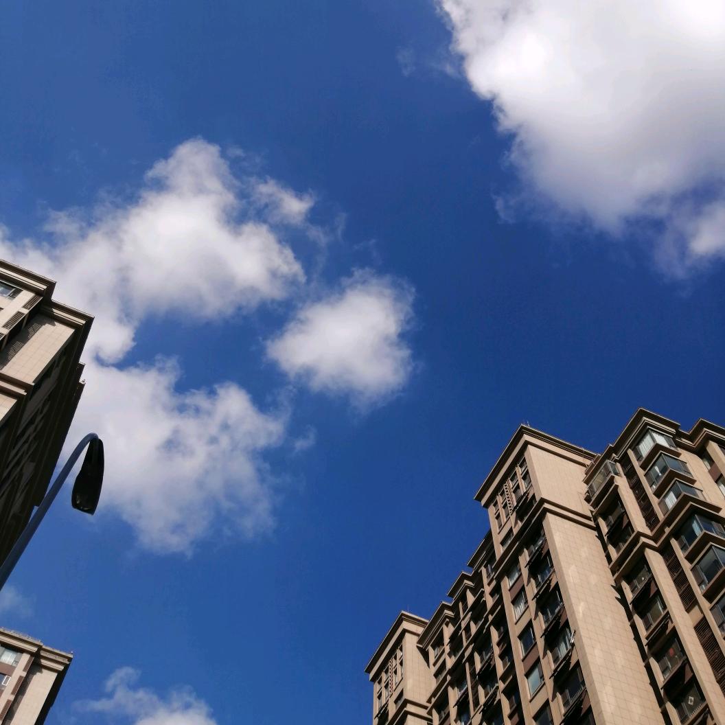 ( •̥́ ˍ •̀ू )