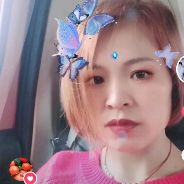阳光明媚叶子
