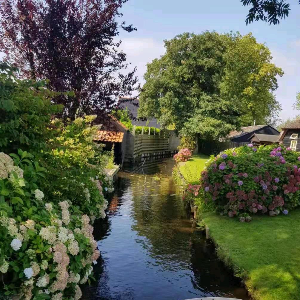 用户wen8074472248572