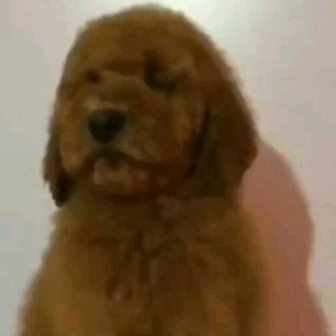 加油！打工人！！！！