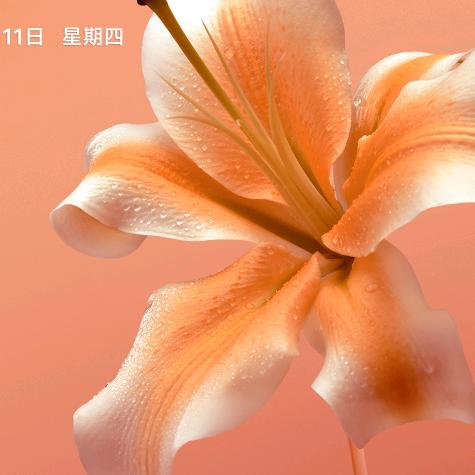 五个宝的奶
