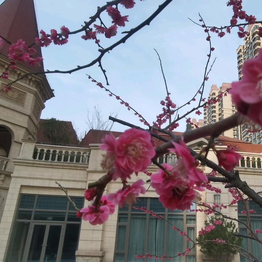 ☀️☀️☀️梦娟